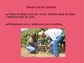 Deseos de los clientes

■ Visitar el campo para ver, in situ, distintos tipos de vides
y distintos tipos de uvas

■ Participación en la realización de la vendimia.
 