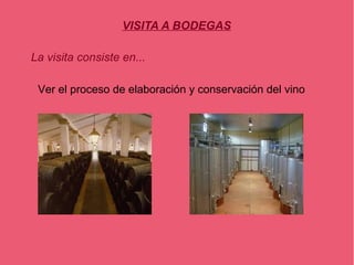 VISITA A BODEGAS

La visita consiste en...

 Ver el proceso de elaboración y conservación del vino
 