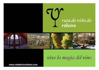 www.rutadelvinoribeiro.com
 