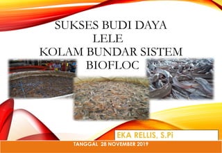 E November _ Budidaya Lele Sistem Bioflok.pptx