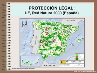 PROTECCIÓN LEGAL: UE, Red Natura 2000 (España) Fuente: Ministerio de Medio Ambiente Prof. ISAAC BUZO SÁNCHEZ 