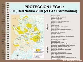 PROTECCIÓN LEGAL: UE, Red Natura 2000 (ZEPAs Extremadura) Fuente: Ministerio de Medio Ambiente Prof. ISAAC BUZO SÁNCHEZ Complejo lagunar de la Albuera  Dehesas de Jerez  Embalsede arroyo Conejo  Embalse de Cornalvo y sierra Bermeja  Embalse de los Canchales Embalse de Montijo  Embalse de Orellana y sierra de Pela Embalse de Valuengo  Iglsia de la Purificación de Almendralejo  La Serena  Pierto Peña - Los Golondrinos  Sierra de la Moraleja Sierra de San Pedro  Sierra de Siruela  Sierra grande de Hornachos  Sierras centrales y embalse de Alange Sierras de Peñalsordo y Capilla  BADAJOZ Canchos de Ramiro Cedillo y río Tajo internacional Embalse de Arrocampo  Embalse de Borbollón  Embalse de Cornalvo y sierra Bermeja  Embalse de Valdecañas  Hurdes Llanos de Brozas  Llanos de Cáceres y sierra de Fuentes Llanos de Trujillo  Llanos de Zorita y Embalse de sierra Brava Monfragüe  Puerto Peña - Los Golondrinos Riveros de Almonte  Sierra de Gata  Sierra de las Villuercas y Valle del Guadarranque  Sierra de San Pedro CÁCERES 