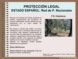 PROTECCIÓN LEGAL ESTADO ESPAÑOL: Red de P. Nacionales Situado en los Montes de Toledo, simbolizan la máxima representación del ecosistema de bosque mediterráneo, siendo además de gran importancia por su buen estado de conservación.  Sus sierras y macizos dan cobijo a una gran variedad de aves y mamíferos entre las que se encuentran tanto especies mediterráneas de muy alto valor de conservación y en constante vigilancia y seguimiento como el buitre negro o el águila imperial, como especies de afinidad atlántica como el tejo, el abedul o el acebo. Además, en Cabañeros existen grandes poblaciones de ungulados. Región Mediterránea Sistema Natural al que representa:  Sistemas ligados al bosque mediterráneo  P.N. Cabañeros Fuente:  Texto e imágenes Ministerio de Medio Ambiente. Red de Parques Nacionales Prof. ISAAC BUZO SÁNCHEZ 