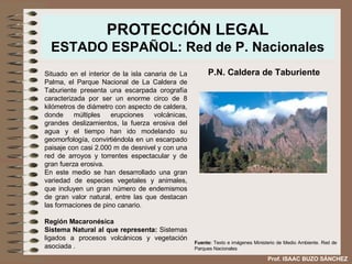 PROTECCIÓN LEGAL ESTADO ESPAÑOL: Red de P. Nacionales Situado en el interior de la isla canaria de La Palma, el Parque Nacional de La Caldera de Taburiente presenta una escarpada orografía caracterizada por ser un enorme circo de 8 kilómetros de diámetro con aspecto de caldera, donde múltiples erupciones volcánicas, grandes deslizamientos, la fuerza erosiva del agua y el tiempo han ido modelando su geomorfología, convirtiéndola en un escarpado paisaje con casi 2.000 m de desnivel y con una red de arroyos y torrentes espectacular y de gran fuerza erosiva.  En este medio se han desarrollado una gran variedad de especies vegetales y animales, que incluyen un gran número de endemismos de gran valor natural, entre las que destacan las formaciones de pino canario. Región Macaronésica Sistema Natural al que representa:  Sistemas ligados a procesos volcánicos y vegetación asociada  . P.N. Caldera de Taburiente Fuente:  Texto e imágenes Ministerio de Medio Ambiente. Red de Parques Nacionales Prof. ISAAC BUZO SÁNCHEZ 