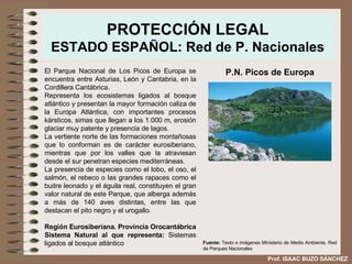 PROTECCIÓN LEGAL ESTADO ESPAÑOL: Red de P. Nacionales El Parque Nacional de Los Picos de Europa se encuentra entre Asturias, León y Cantabria, en la Cordillera Cantábrica.  Representa los ecosistemas ligados al bosque atlántico y presentan la mayor formación caliza de la Europa Atlántica, con importantes procesos kársticos, simas que llegan a los 1.000 m, erosión glaciar muy patente y presencia de lagos.  La vertiente norte de las formaciones montañosas que lo conforman es de carácter eurosiberiano, mientras que por los valles que la atraviesan desde el sur penetran especies mediterráneas.  La presencia de especies como el lobo, el oso, el salmón, el rebeco o las grandes rapaces como el buitre leonado y el águila real, constituyen el gran valor natural de este Parque, que alberga además a más de 140 aves distintas, entre las que destacan el pito negro y el urogallo. Región Eurosiberiana. Provincia Orocantábrica Sistema Natural al que representa:  Sistemas ligados al bosque atlántico  P.N. Picos de Europa Fuente:  Texto e imágenes Ministerio de Medio Ambiente. Red de Parques Nacionales Prof. ISAAC BUZO SÁNCHEZ 
