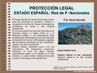 PROTECCIÓN LEGAL ESTADO ESPAÑOL: Red de P. Nacionales El Parque Nacional de Sierra Nevada está situado entre las provincias de Granada y Almería, y representa en la Red de Parques Nacionales los ecosistemas de media y alta montaña mediterránea.  En él se encuentran los dos picos más altos de la Península Ibérica, el Veleta (3.392 m) y el Mulhacén (3.482m), y son precisamente estas características altitudinales las que han propiciado el desarrollo de más de 2.000 especies vegetales (66 endemismos exclusivos), de gran vistosidad y colorido, que viven en el Parque.  Anfibios, reptiles, mamíferos, aves y una rica entomofauna (80 endemismos exclusivos), conforman la fauna de Sierra Nevada, especialmente ligada a los hábitats de la alta montaña. La cabra montés, habitual de las altas cumbres, es la especie más característica. P.N. Sierra Nevada Región Mediterránea Sistema Natural al que representa : Sistemas ligados a la alta montaña mediterránea  Fuente:  Texto e imágenes Ministerio de Medio Ambiente. Red de Parques Nacionales Prof. ISAAC BUZO SÁNCHEZ 