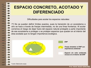 ESPACIO CONCRETO, ACOTADO Y DIFERENCIADO Dificultades para acotar los espacios naturales: 1ª) No se pueden definir límites exactos, pues la transición de un ecosistema a otro se hace a través de franjas intermedias, no de una línea fronteriza. Al acotar corremos el riesgo de dejar fuera del espacio natural protegido a parte importante de ese ecosistema a proteger o se protejan espacios que queden en el interior del área acotada que no tengan importancia ecológica. ENP Franja alrededor el ENP con importancia ambiental Espacio sin valor ambiental, incluso en el interior del ENP Fuente: Elaboración propia Prof. ISAAC BUZO SÁNCHEZ 