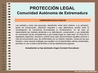 PROTECCIÓN LEGAL Comunidad Autónoma de Extremadura CORREDORES ECOCULTURALES Las cañadas y otras vías pecuarias, atendiendo, entre otros criterios, a su ubicación, grado de conservación, utilización originaria y usos alternativos, podrán tener la consideración de Corredores Ecoculturales (o Ecoitinerarios). En tal caso se desarrollarán las medidas tendentes a su delimitación, conservación y uso sostenible sin menoscabo de las competencias a que hubiera lugar en cada caso, en virtud de su legislación específica. Asimismo, podrán tener este reconocimiento aquellos caminos o vías de comunicación que, de conformidad con su historia, tradición, zonas por las que transite u otras razones análogas que resalten sus fundamentales valores ambientales, permitan un uso no lesivo del territorio ni de las explotaciones agrarias . Actualmente no hay declarado ningún Corredor Ecocultural. Prof. ISAAC BUZO SÁNCHEZ 