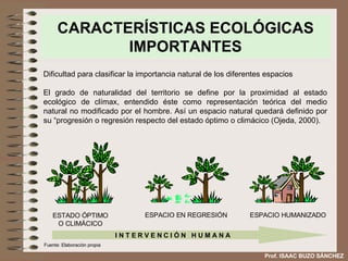 CARACTERÍSTICAS ECOLÓGICAS IMPORTANTES Dificultad para clasificar la importancia natural de los diferentes espacios El grado de naturalidad del territorio se define por la proximidad al estado ecológico de clímax, entendido éste como representación teórica del medio natural no modificado por el hombre. Así un espacio natural quedará definido por su “progresión o regresión respecto del estado óptimo o climácico (Ojeda, 2000). I N T E R V E N C I Ó N  H U M A N A ESTADO ÓPTIMO O CLIMÁCICO ESPACIO EN REGRESIÓN ESPACIO HUMANIZADO Fuente: Elaboración propia Prof. ISAAC BUZO SÁNCHEZ 