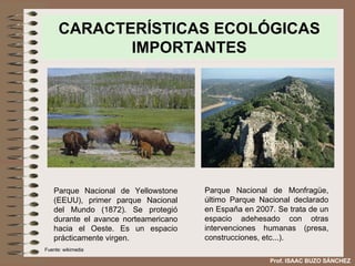 CARACTERÍSTICAS ECOLÓGICAS IMPORTANTES Parque Nacional de Yellowstone (EEUU), primer parque Nacional del Mundo (1872). Se protegió durante el avance norteamericano hacia el Oeste. Es un espacio prácticamente virgen.  Parque Nacional de Monfragüe, último Parque Nacional declarado en España en 2007. Se trata de un espacio adehesado con otras intervenciones humanas (presa, construcciones, etc...). Fuente: wikimedia Prof. ISAAC BUZO SÁNCHEZ 