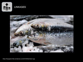 LINKAGES
http://static.rappler.com/images/sardine-fishing-basilan-20130312.jpg
http://www.pcaarrd.dost.gov.ph/home/ssentin...