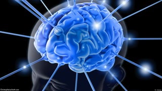 ChristopheLachnitt.com Pic - ktsimage
 