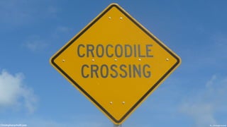 ChristopheLachnitt.com Pic - Christophe Lachnitt
 