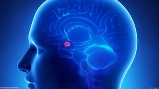 Pic - ShutterstockChristopheLachnitt.com
 