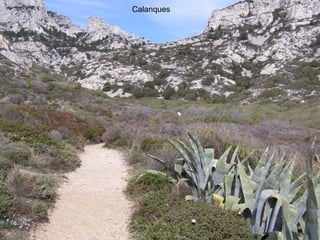 Calanques 