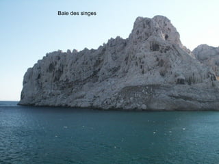 Baie des singes 