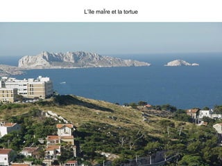L’île maÏre et la tortue 