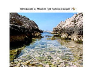 calanque de la  Mounine ( joli nom n’est ce pas ?  ) 