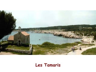 Les Tamaris 