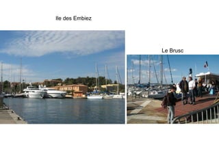Ile des Embiez Le Brusc 