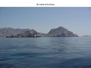 Île maire et la tortue 