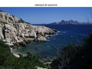 calanque de queyrons 
