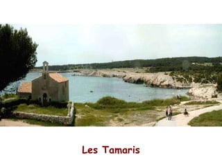 Les Tamaris 