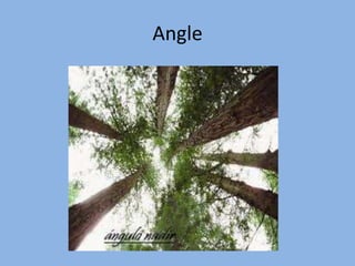 Angle
 