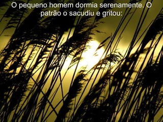 O pequeno homem dormia serenamente. O patrão o sacudiu e gritou: 