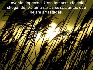 Levante depressa! Uma tempestade está chegando. Vá amarrar as coisas antes que sejam arrastadas. 