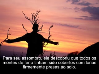 Para seu assombro, ele descobriu que todos os montes de feno tinham sido cobertos com lonas firmemente presas ao solo. 