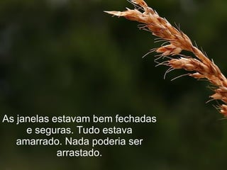 As janelas estavam bem fechadas e seguras. Tudo estava amarrado. Nada poderia ser arrastado. 