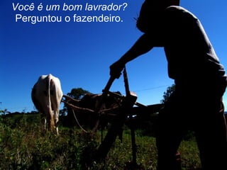 Você é um bom lavrador?  Perguntou o fazendeiro. 