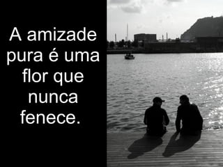 A amizade pura é uma flor que nunca fenece.  