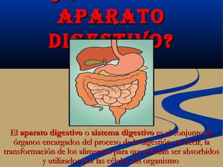 APARATO
             DIGESTIVO?



  El aparato digestivo o sistema digestivo es el conjunto de
   órganos encargados del proceso de la digestión, es decir, la
transformación de los alimentos para que puedan ser absorbidos
           y utilizados por las células del organismo
 