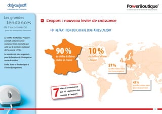 Enquête e-commerce PowerBoutique 2008