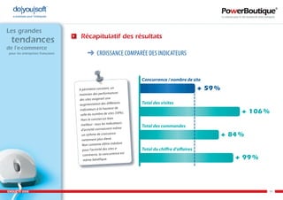 Enquête e-commerce PowerBoutique 2008