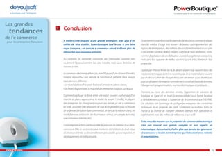 Enquête e-commerce PowerBoutique 2008