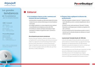 Enquête e-commerce PowerBoutique 2008