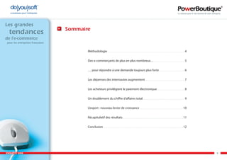 Enquête e-commerce PowerBoutique 2008