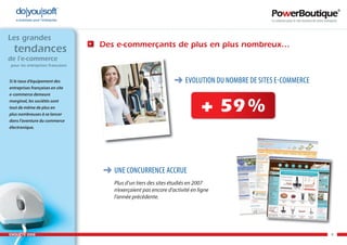 Enquête e-commerce PowerBoutique 2008