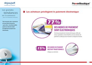 Enquête e-commerce PowerBoutique 2008