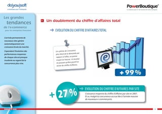 Enquête e-commerce PowerBoutique 2008