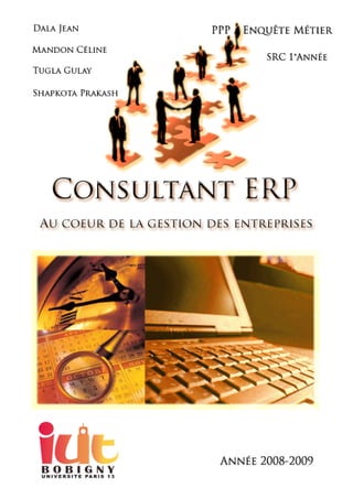 Enquête métier - Consultant ERP
 