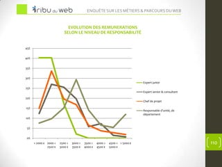 Enquête 2012 sur les Métiers du Web et de l'Internet