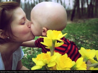 Dexter’s Picture http://www.reddit.com/r/pics/comments/19lzy5/this_is_my_son_dexter_he_picked_these_flowers/
 