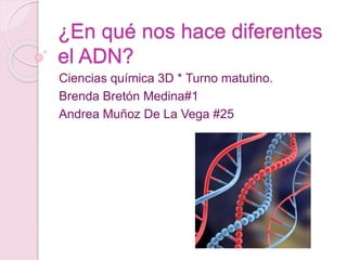 ¿En qué nos hace diferentes
el ADN?
Ciencias química 3D * Turno matutino.
Brenda Bretón Medina#1
Andrea Muñoz De La Vega #25
 