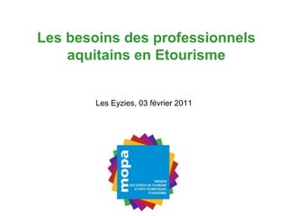 Les besoins des professionnels aquitains en Etourisme Les Eyzies, 03 février 2011 