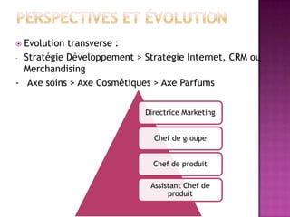 Evolution transverse :
- Stratégie Développement > Stratégie Internet, CRM ou
Merchandising
- Axe soins > Axe Cosmétiques > Axe Parfums


Directrice Marketing
Chef de groupe
Chef de produit
Assistant Chef de
produit

 
