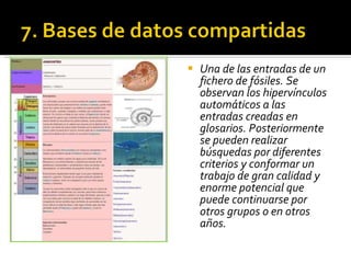 Una de las entradas de un fichero de fósiles. Se observan los hipervínculos automáticos a las entradas creadas en glosarios. Posteriormente se pueden realizar búsquedas por diferentes criterios y conformar un trabajo de gran calidad y enorme potencial que puede continuarse por otros grupos o en otros años. 
